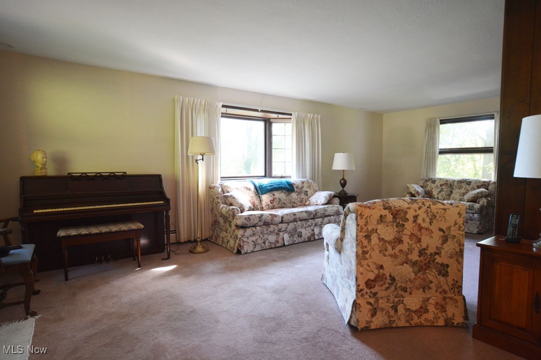 13170 Caves Road Chesterland, OH 44026 - Photo 9 of 40 Gallery Image 9