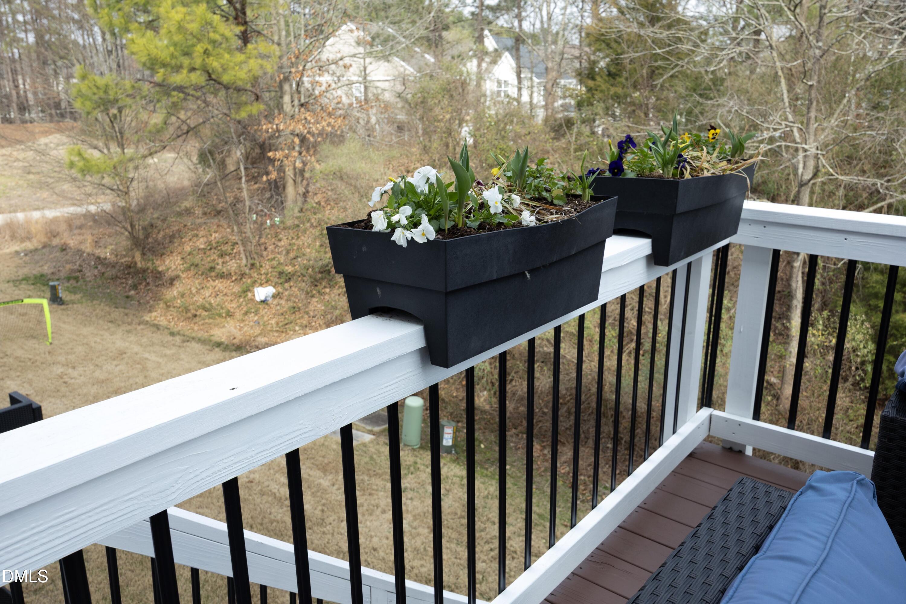 8716 Red Canyon Way Raleigh, NC 27616 - Photo 28 of 36 a view of a balcony with flower plants