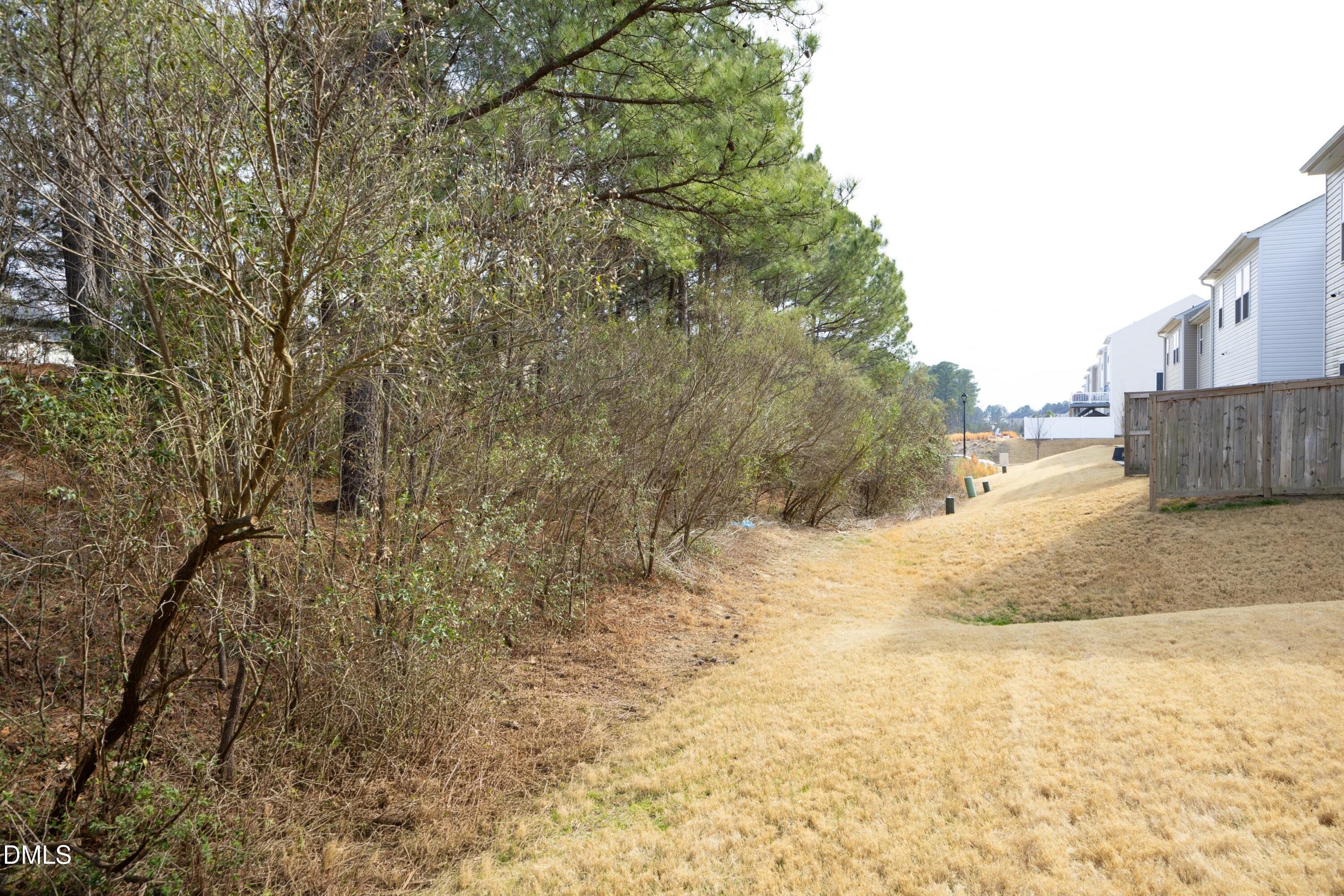 8716 Red Canyon Way Raleigh, NC 27616 - Photo 34 of 36 a view of a yard with a tree