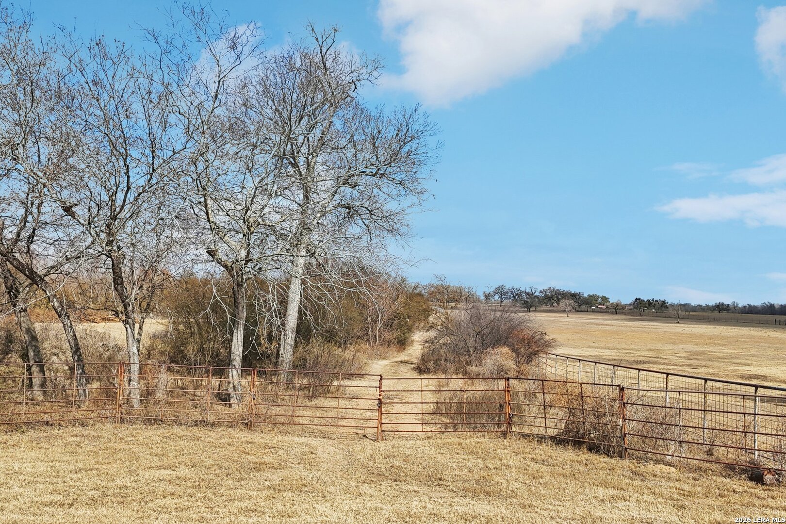 14319 Old Frio City Road Atascosa, TX 78002 - Photo 11 of 17
