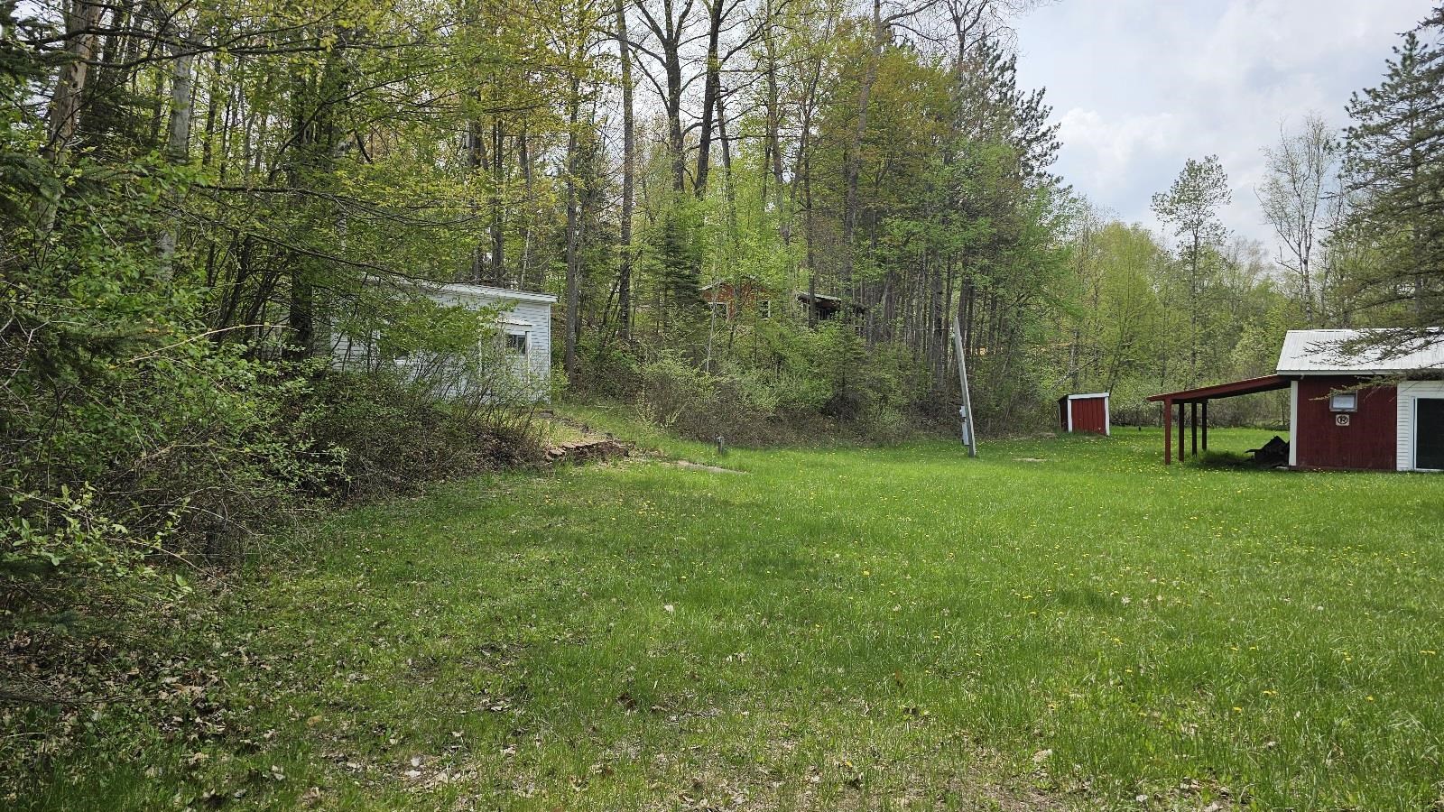 Riverview V/l Road Gladwin, MI 48624 - Photo 3 of 10