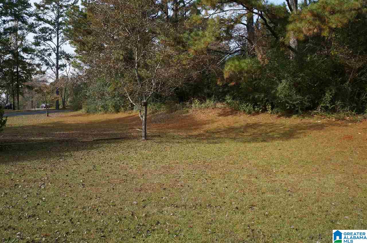 47 Baytree Street Goodwater, AL 35072 - Photo 42 of 50