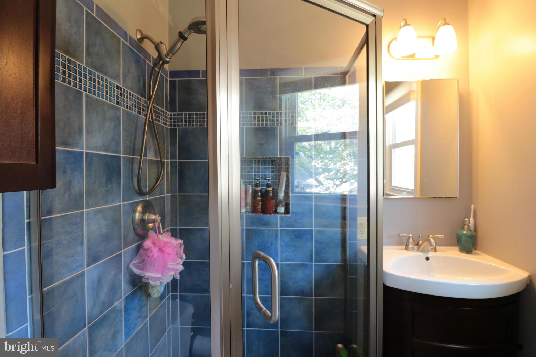 1113 Chiswell Lane Silver Spring, MD 20901 - Photo 12 of 14 Bath (Master)