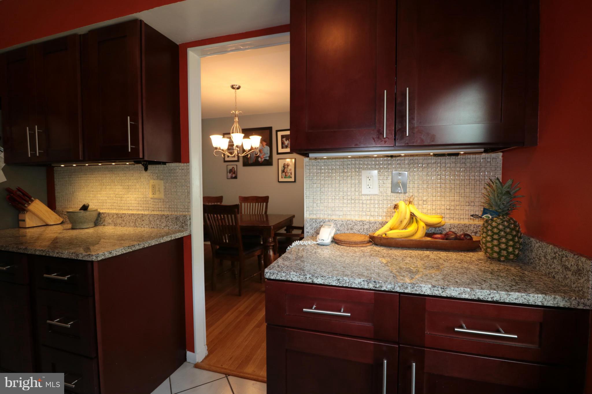1113 Chiswell Lane Silver Spring, MD 20901 - Photo 6 of 14 Kitchen