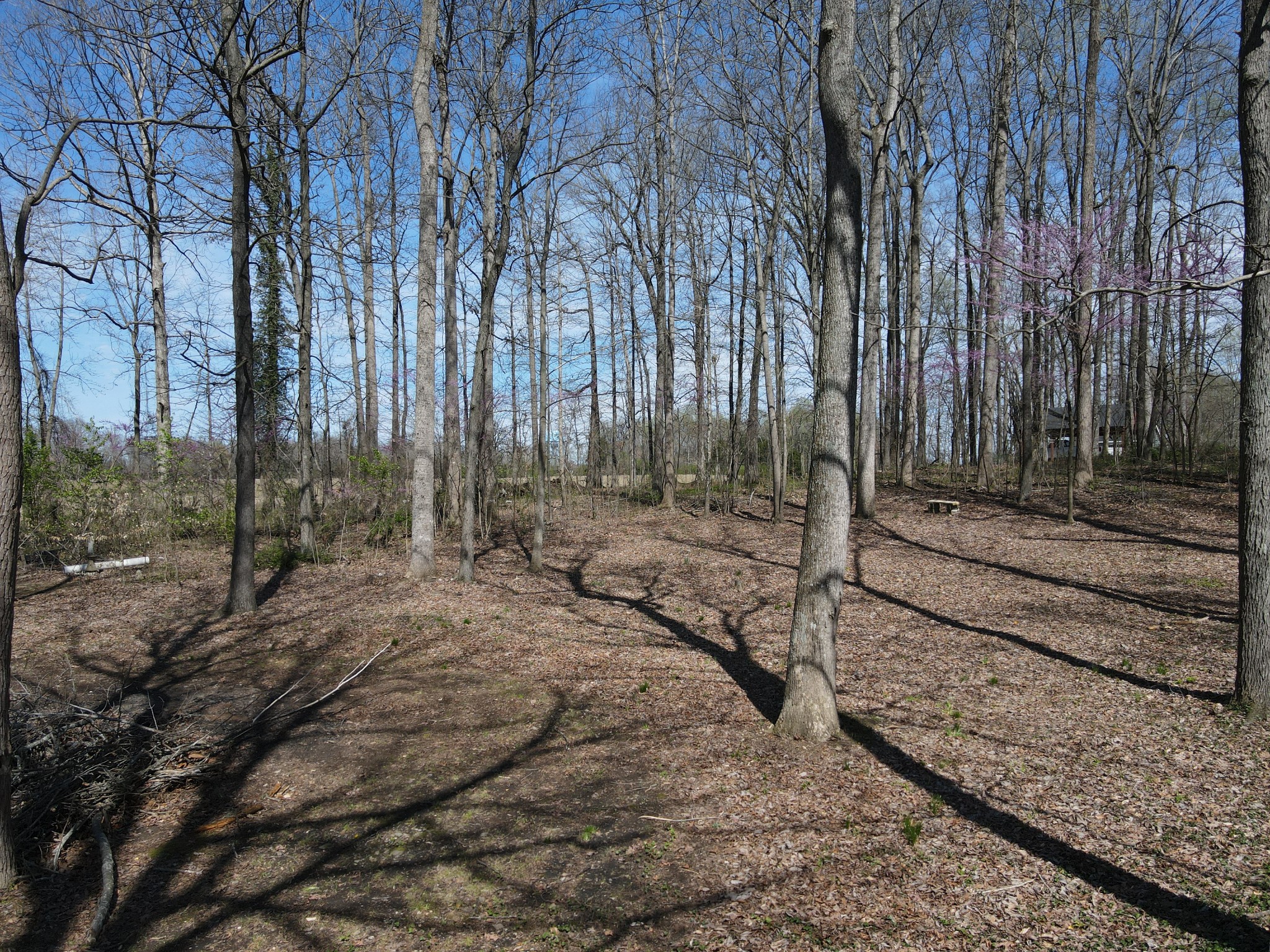 24 Poe Road Tullahoma, TN 37388 - Photo 15 of 21 Gallery Image 15