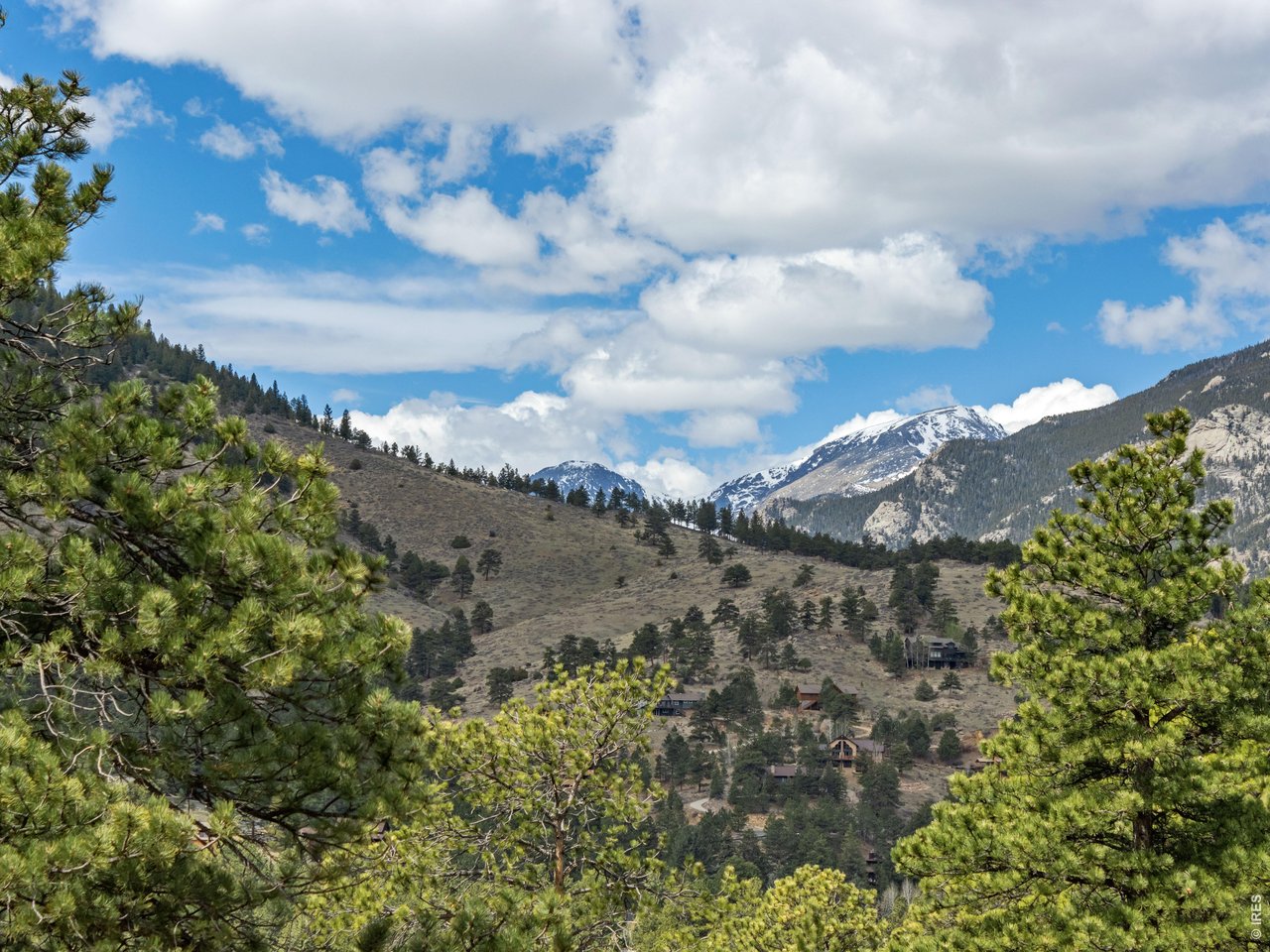825 Castle Mountain Road Estes Park, CO 80517 - Photo 1 of 18 a view of a bunch of trees