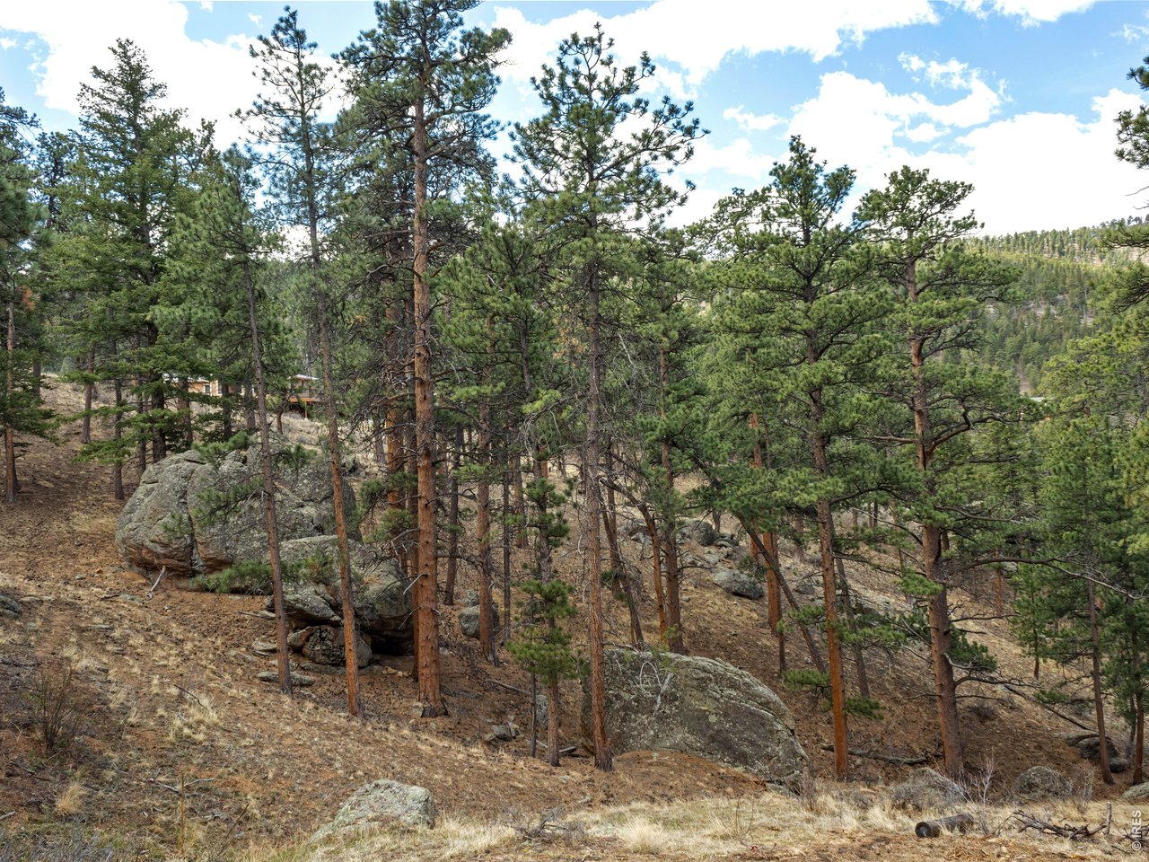 825 Castle Mountain Road Estes Park, CO 80517 - Photo 13 of 18 a view of a forest with trees in the background