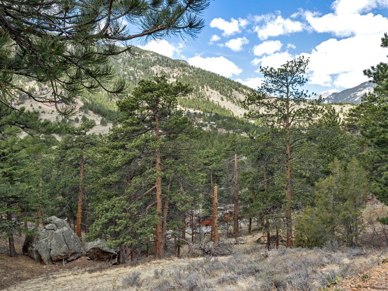 825 Castle Mountain Road Estes Park, CO 80517 - Photo 15 of 18 a view of a forest with trees in the background