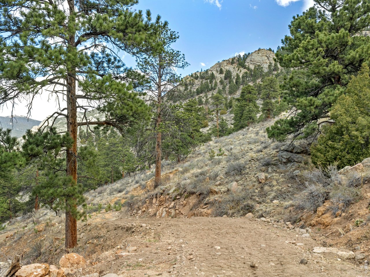 825 Castle Mountain Road Estes Park, CO 80517 - Photo 16 of 18 a view of a dry yard with trees
