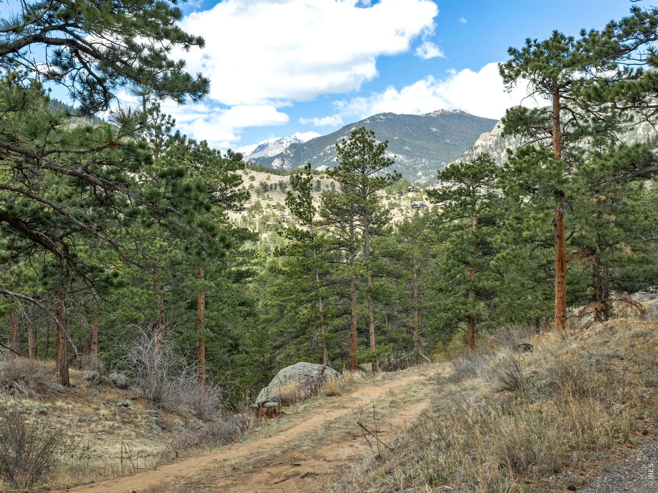 825 Castle Mountain Road Estes Park, CO 80517 - Photo 17 of 18 a view of a yard with a tree