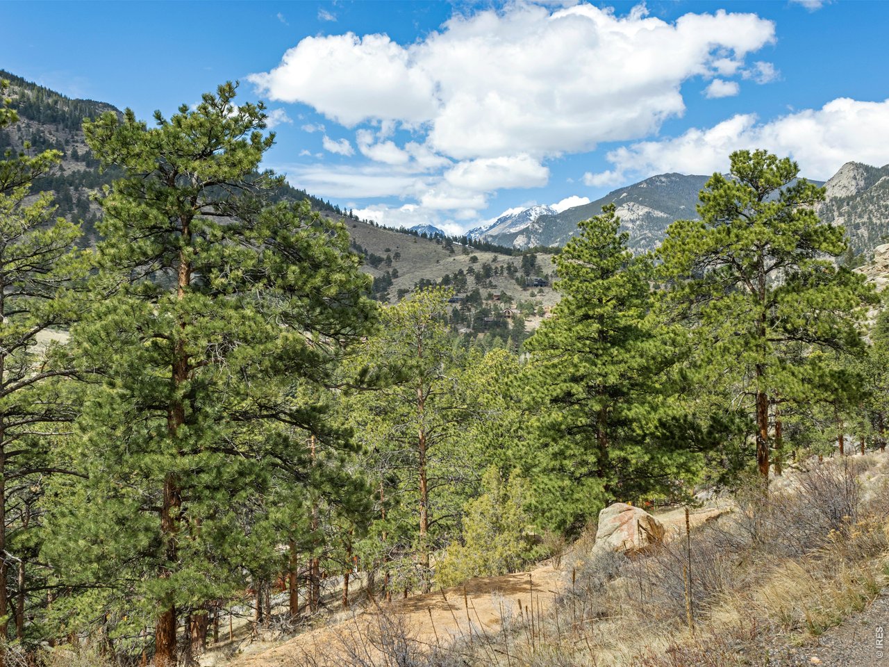 825 Castle Mountain Road Estes Park, CO 80517 - Photo 18 of 18 a view of a bunch of trees