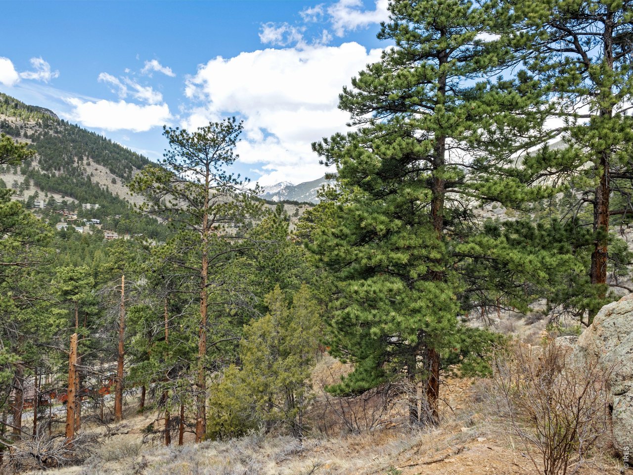 825 Castle Mountain Road Estes Park, CO 80517 - Photo 4 of 18 a view of a forest