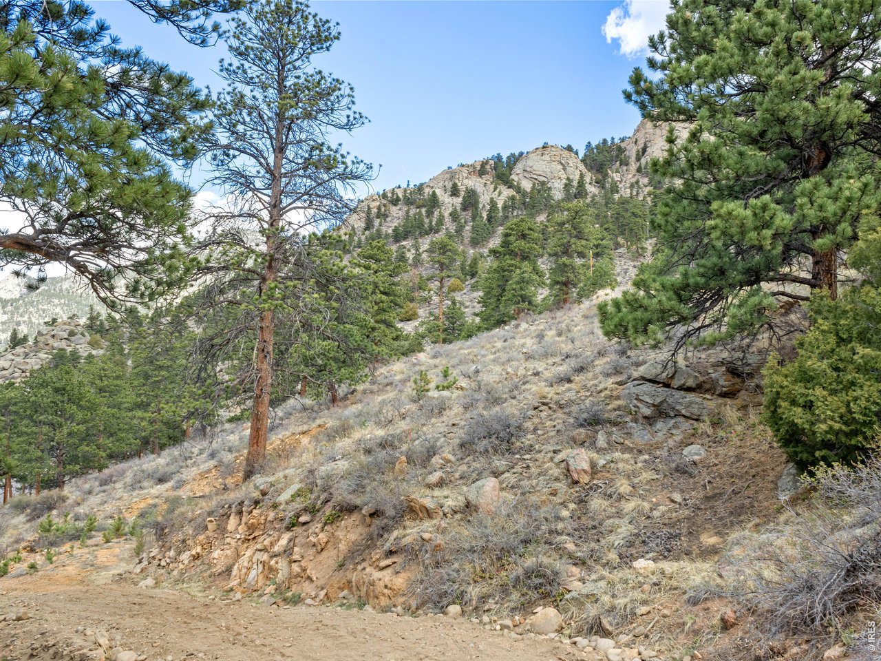 825 Castle Mountain Road Estes Park, CO 80517 - Photo 6 of 18 a view of a yard with a tree