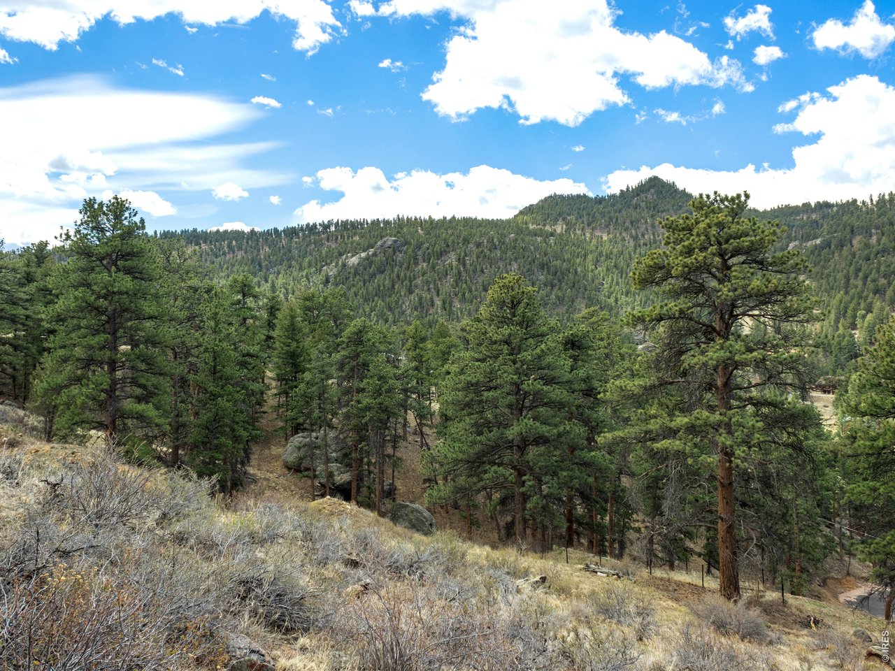 825 Castle Mountain Road Estes Park, CO 80517 - Photo 8 of 18 a view of a mountain