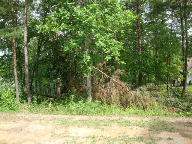 Lot 53 Pointe Harbor Seneca, SC 29672 - Photo 11 of 50