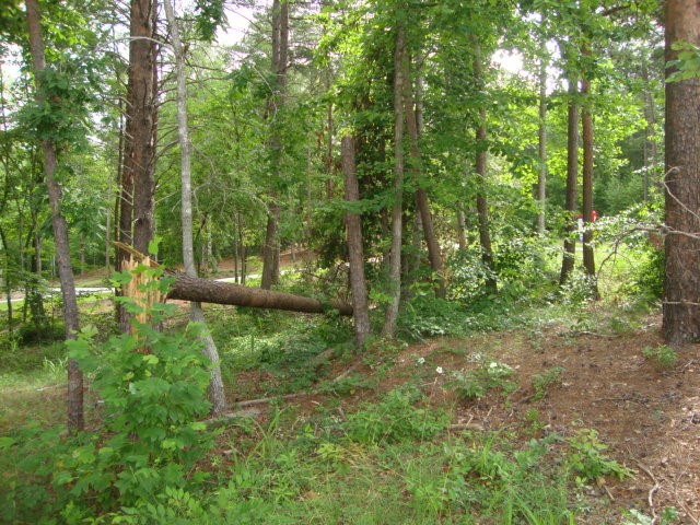 Lot 53 Pointe Harbor Seneca, SC 29672 - Photo 12 of 50
