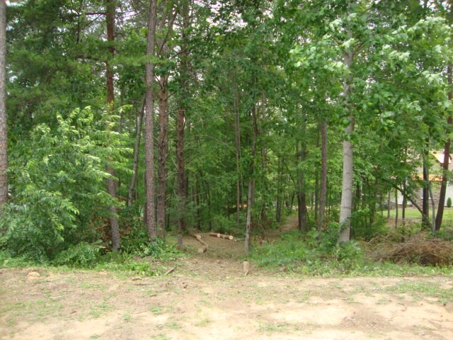 Lot 53 Pointe Harbor Seneca, SC 29672 - Photo 13 of 50