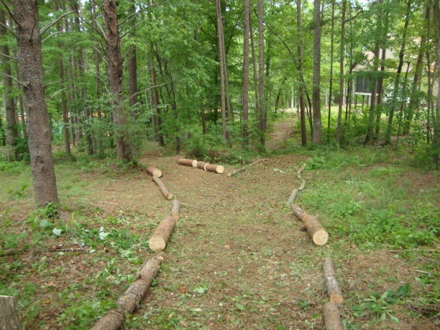 Lot 53 Pointe Harbor Seneca, SC 29672 - Photo 14 of 50