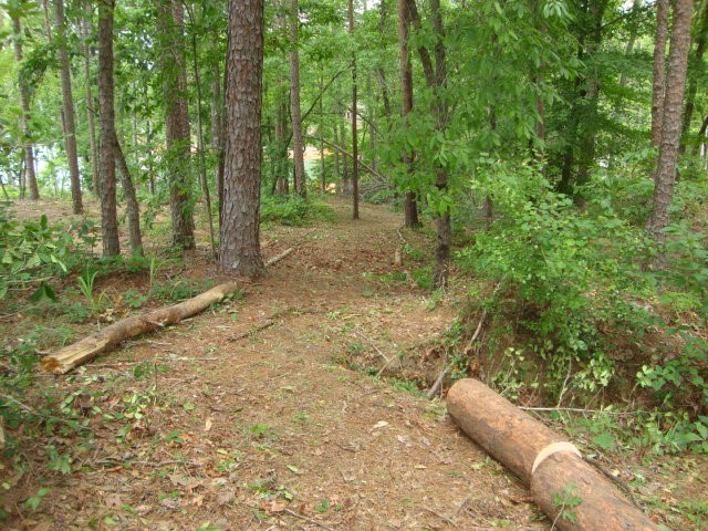 Lot 53 Pointe Harbor Seneca, SC 29672 - Photo 15 of 50