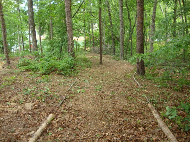 Lot 53 Pointe Harbor Seneca, SC 29672 - Photo 17 of 50