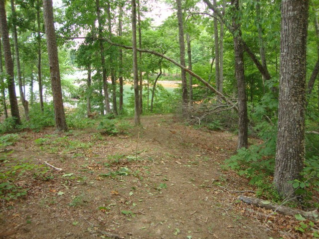Lot 53 Pointe Harbor Seneca, SC 29672 - Photo 18 of 50