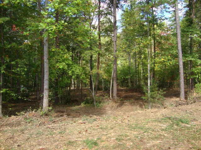 Lot 53 Pointe Harbor Seneca, SC 29672 - Photo 20 of 50