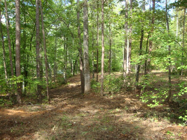Lot 53 Pointe Harbor Seneca, SC 29672 - Photo 21 of 50