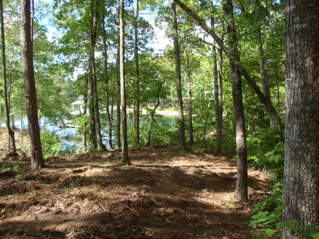 Lot 53 Pointe Harbor Seneca, SC 29672 - Photo 22 of 50