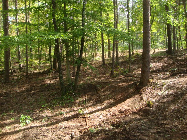 Lot 53 Pointe Harbor Seneca, SC 29672 - Photo 23 of 50