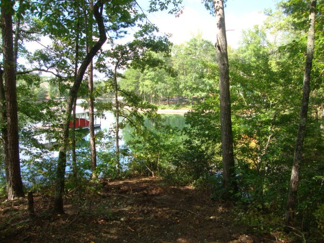 Lot 53 Pointe Harbor Seneca, SC 29672 - Photo 24 of 50
