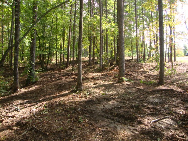 Lot 53 Pointe Harbor Seneca, SC 29672 - Photo 25 of 50
