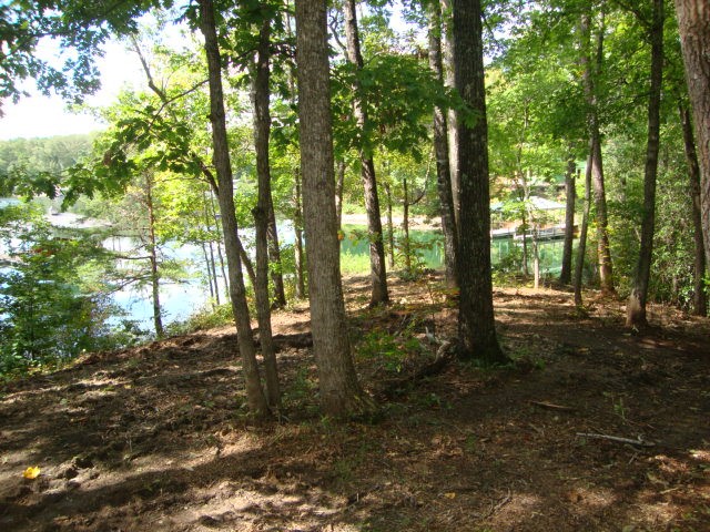 Lot 53 Pointe Harbor Seneca, SC 29672 - Photo 26 of 50