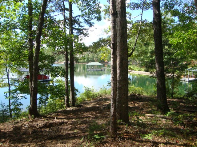 Lot 53 Pointe Harbor Seneca, SC 29672 - Photo 27 of 50