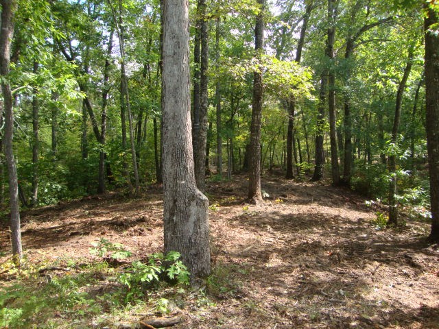 Lot 53 Pointe Harbor Seneca, SC 29672 - Photo 30 of 50