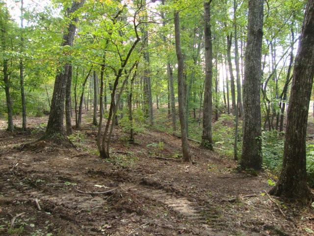 Lot 53 Pointe Harbor Seneca, SC 29672 - Photo 31 of 50