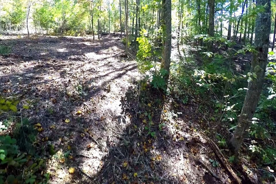 Lot 53 Pointe Harbor Seneca, SC 29672 - Photo 34 of 50