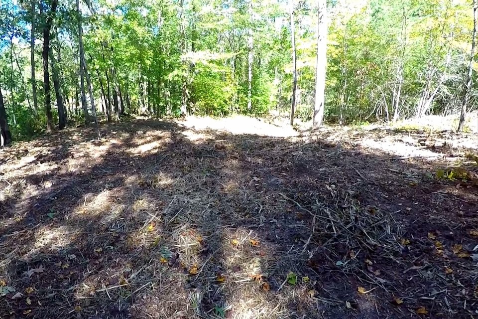 Lot 53 Pointe Harbor Seneca, SC 29672 - Photo 38 of 50