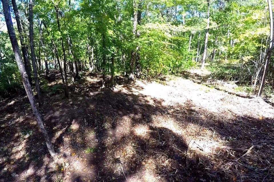 Lot 53 Pointe Harbor Seneca, SC 29672 - Photo 40 of 50