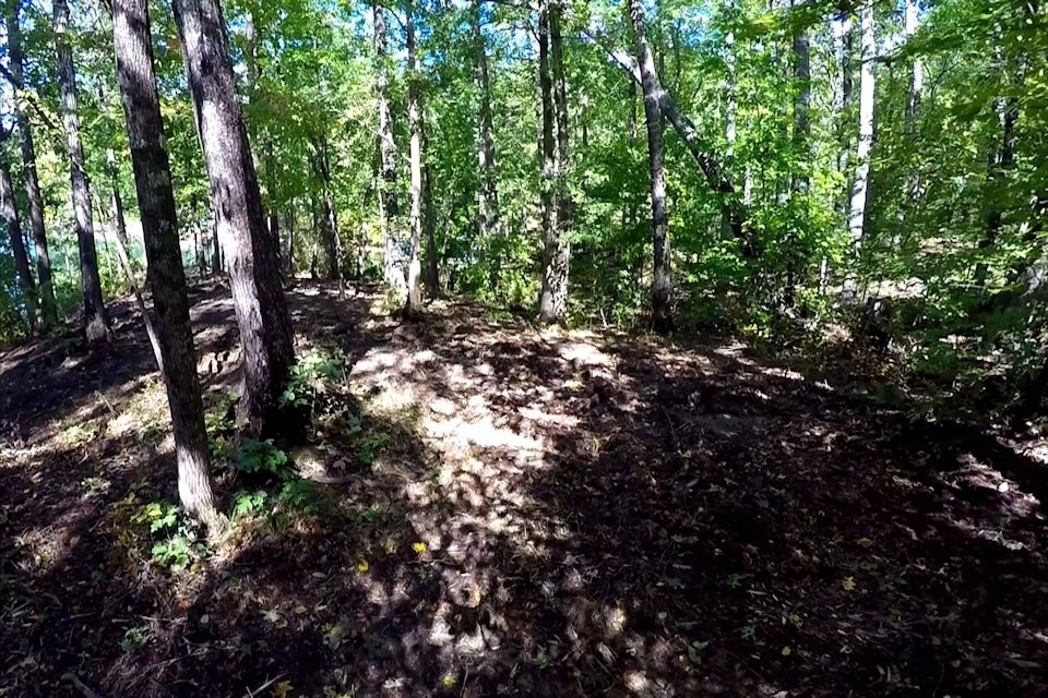 Lot 53 Pointe Harbor Seneca, SC 29672 - Photo 41 of 50