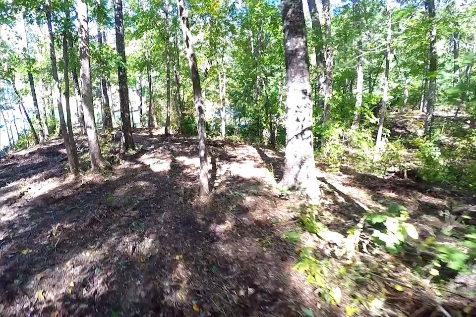 Lot 53 Pointe Harbor Seneca, SC 29672 - Photo 43 of 50
