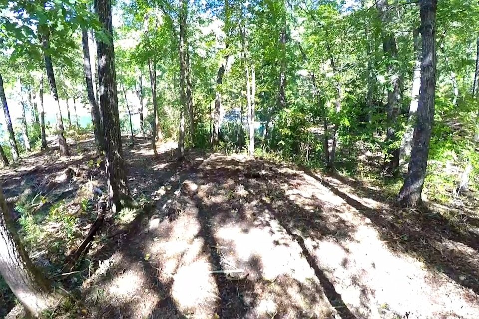Lot 53 Pointe Harbor Seneca, SC 29672 - Photo 44 of 50
