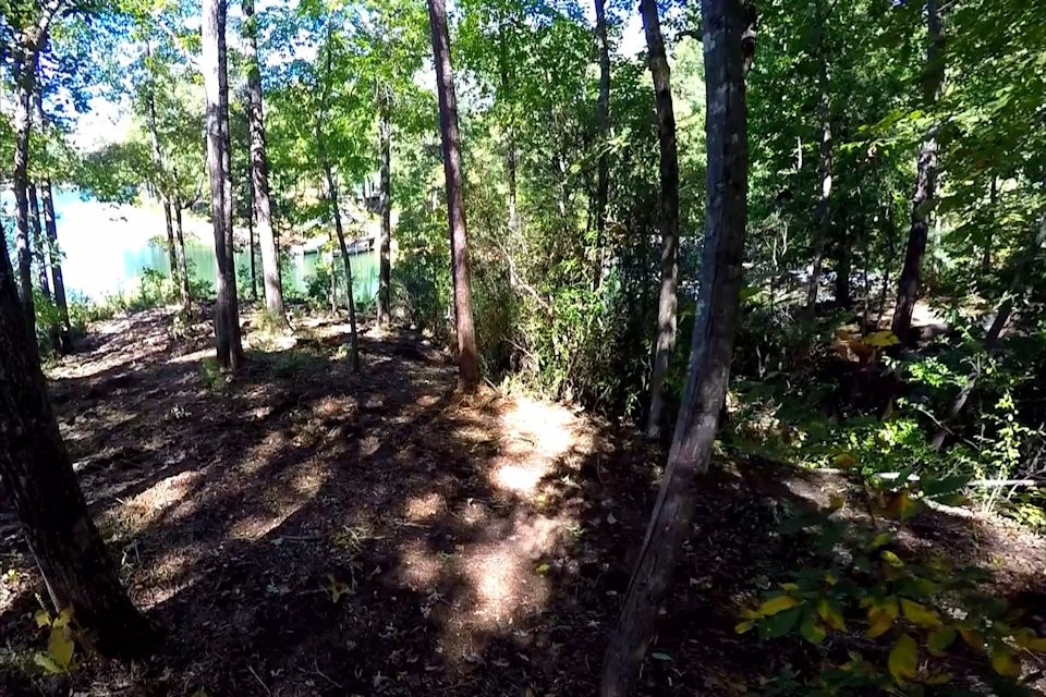 Lot 53 Pointe Harbor Seneca, SC 29672 - Photo 45 of 50