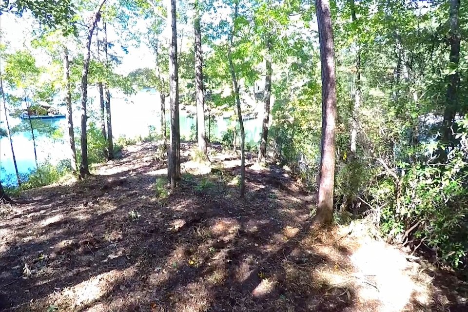 Lot 53 Pointe Harbor Seneca, SC 29672 - Photo 46 of 50