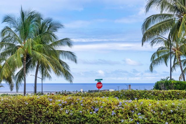 a picture of plants and palm tree