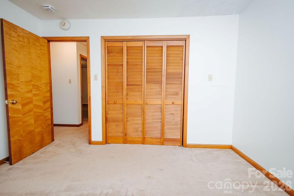 6830 Bat Cave Road Old Fort, NC 28762 - Photo 25 of 44 Gallery Image 25