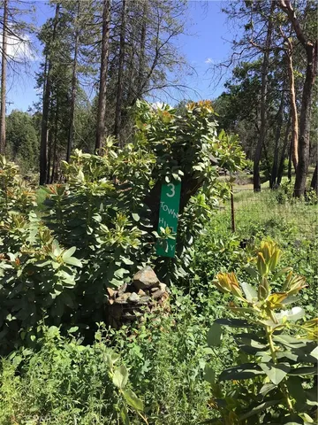 $435,000 | 3 Town Hill Way, Berry Creek, CA 95916