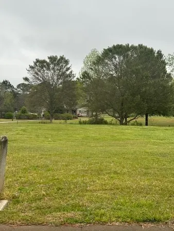 a view of a large body of water with a large tree