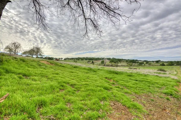 a view of a field with an ocean