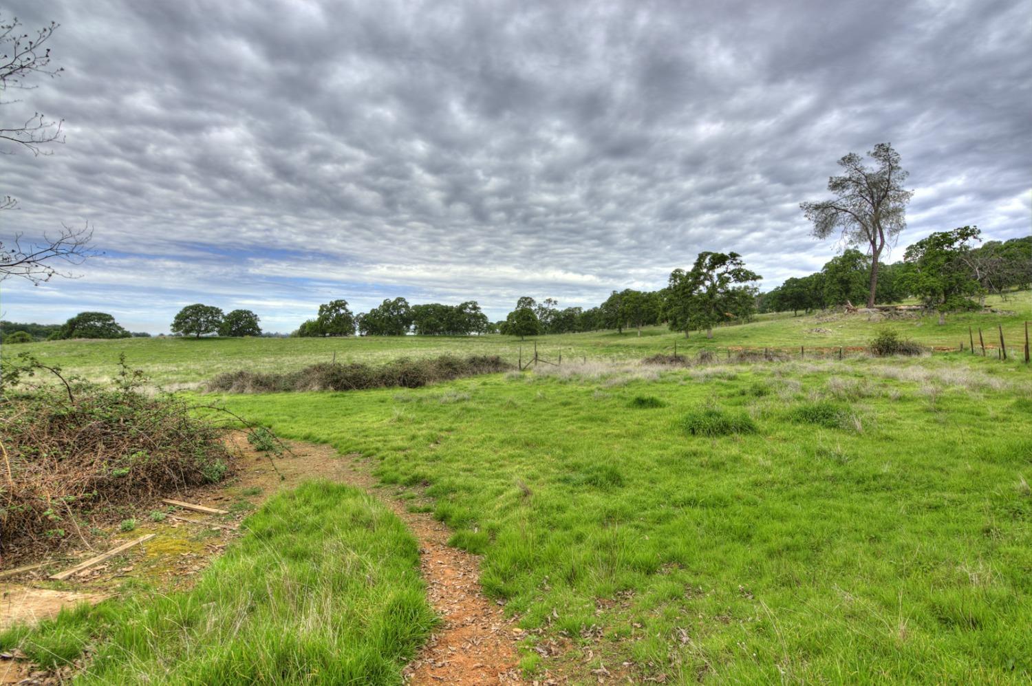 7740 North Forbes Road Lincoln, CA 95648 - Photo 11 of 13 a view of a green field with lots of green space