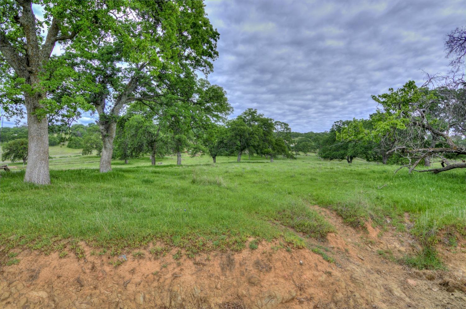 7740 North Forbes Road Lincoln, CA 95648 - Photo 13 of 13 a view of a grassy field with trees